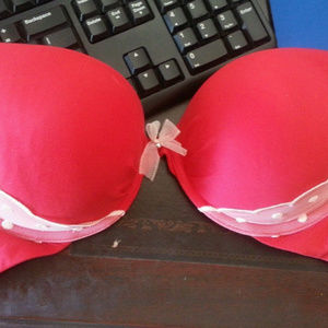 NWT Victoria's Secret brand 32DD Plunge Bra